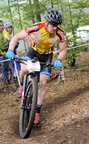 vtt chamberet 236
