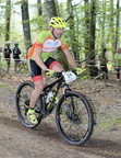 vtt chamberet 239