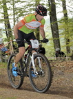 vtt chamberet 247