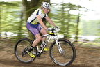 vtt chamberet 253