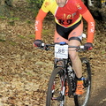 vtt chamberet 286