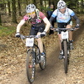 vtt chamberet 290