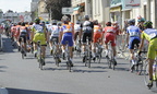 tdl2010-039