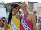 tdl2010-110