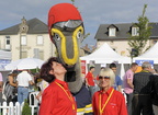 tdl2010-111