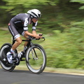 tdl2010-184