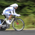 tdl2010-185