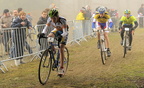 cat13-14 6