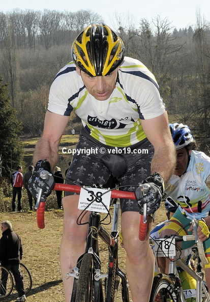 cat40-49_35.jpg
