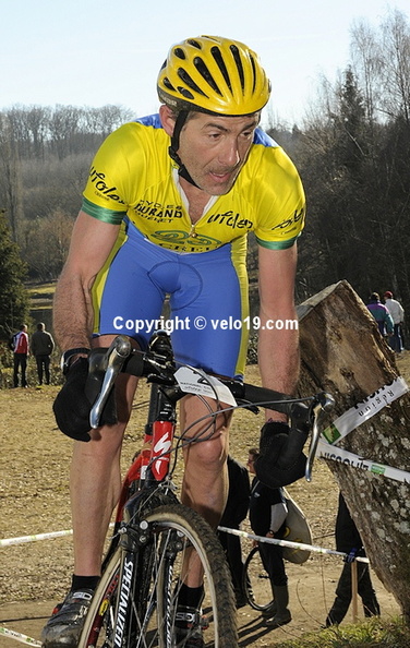 cat40-49_38.jpg