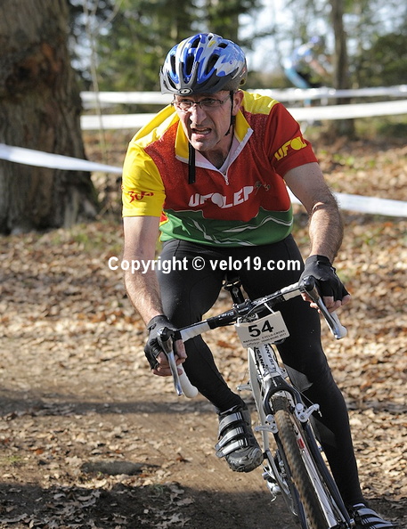 cat50_110.jpg