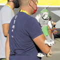 tdf2020Sarran 253